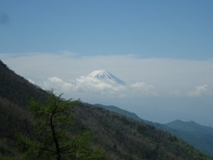 峠直下から富士山