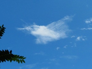 翡翠の飛翔に似た雲